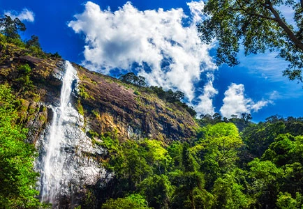 Luxury Travel Folks  -  Romance in Paradise