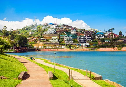 Luxury Travel Folks  -  Romance in Paradise