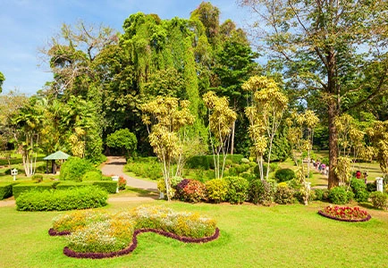 Knuckles Mountain Range