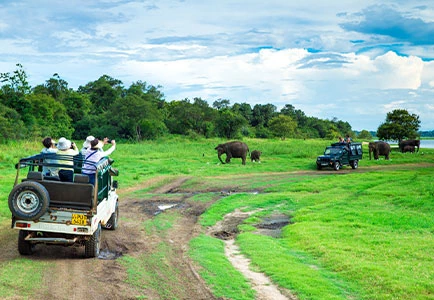 Luxury Travel Folks  - Island Adventures