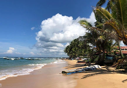 Luxury Travel Folks  - Island Adventures