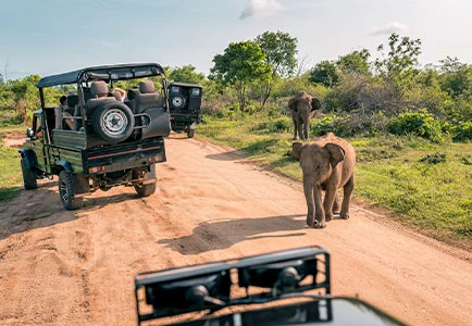Sri Lanka: Relax and Rejuvenate