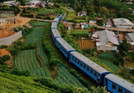 Luxury Travel Folks  - Island Adventures