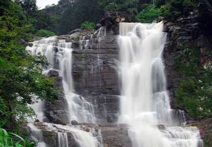 Luxury Travel Folks  -  Romance in Paradise