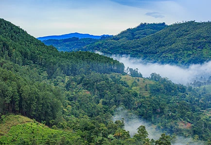 Sri Lanka: Relax and Rejuvenate