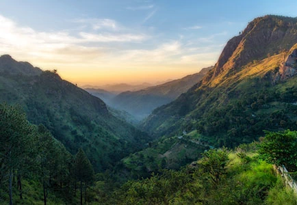 Sri Lanka: Relax and Rejuvenate